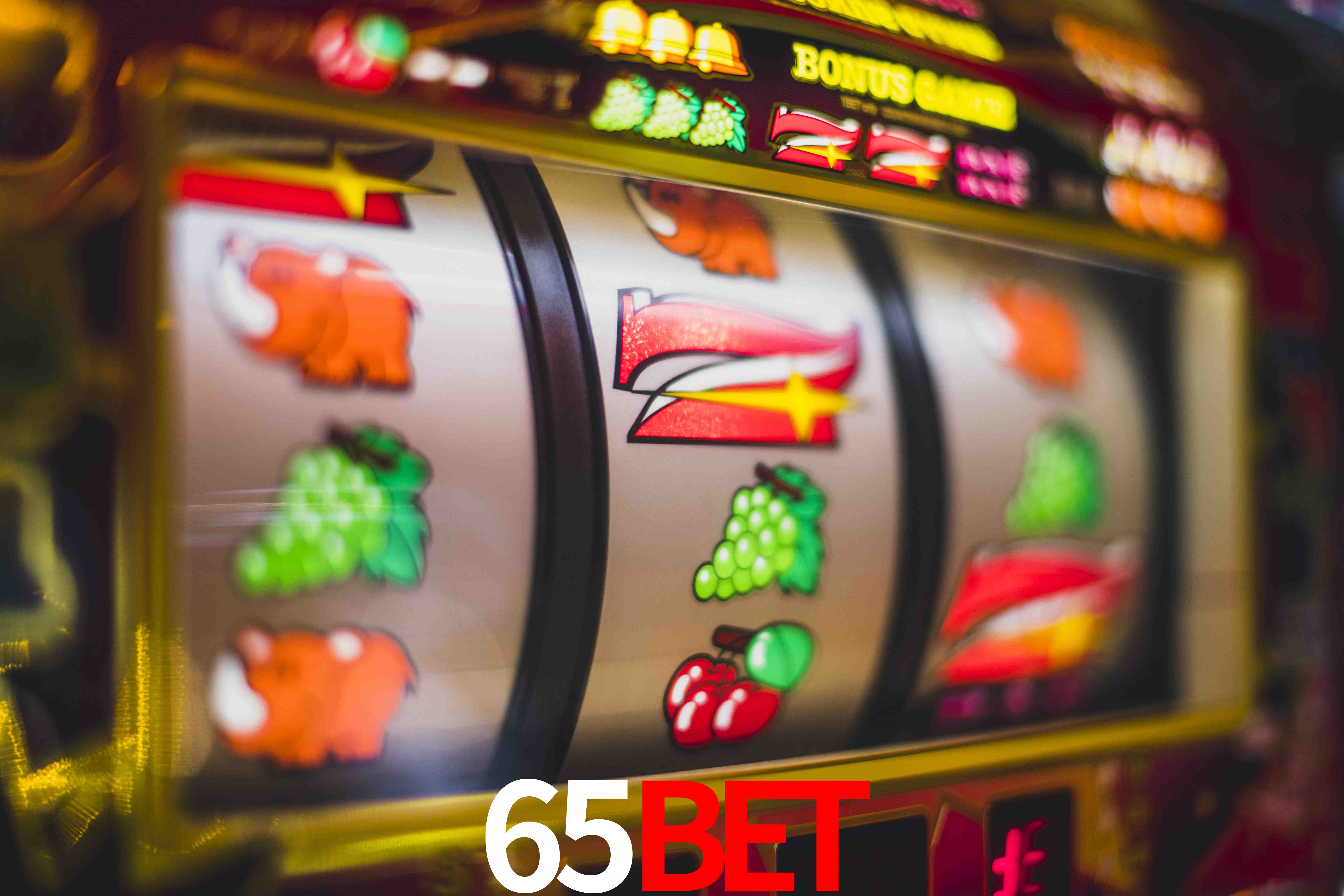 Sports Statistics 65BET